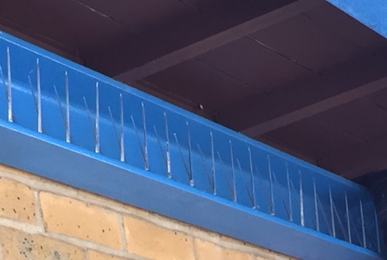 Close up of bird proofing spikes fitted to a commercial building